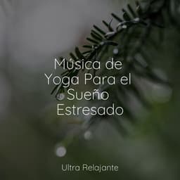 Música de Yoga Para el Sueño Estresado - Canciones de Cuna Relax