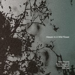 Heaven in a Wildflower - Niels Vincentz