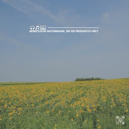 Gemütliche Naturmusik, die Sie produktiv hält - Naturgeräusche