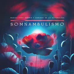 Somnambulismo - Musica Para Dormir y Sonidos de la Naturaleza