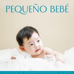 Pequeño Bebé: Lluvia En La Ventana Para Calmar Al Bebé - Lluvia y Naturaleza