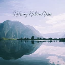 Relaxing Nature Noises - Natural Healing Music Zone