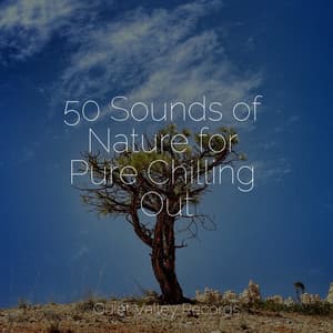 50 Sounds of Nature for Pure Chilling Out - Restless Baby Music