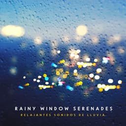 Rainy Window Serenades - Relajantes sonidos de lluvia