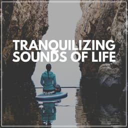 Tranquilizing Sounds of Life - Weather Sounds