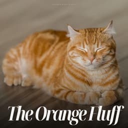Big Orange Fluff - Cat Songs