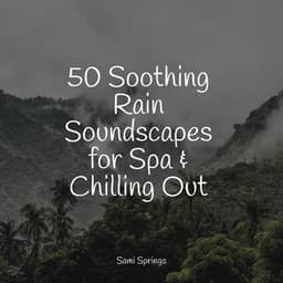 50 Soothing Rain Soundscapes for Spa & Chilling Out - Binaural Creations