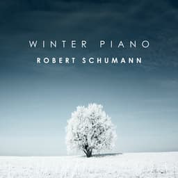 Schumann - Winter Piano - Robert Schumann