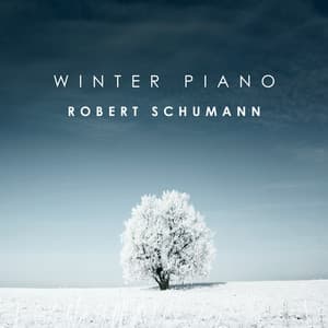 Schumann - Winter Piano - Robert Schumann