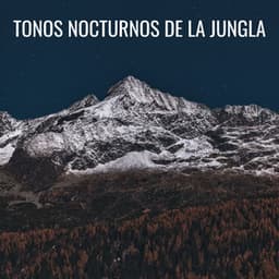 Tonos Nocturnos De La Jungla - Asociación de sonidos nocturnos