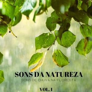 Sons Da Natureza: Sons De Chuva Na Floresta Vol. 1 - 1 Hora de Meditação