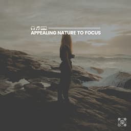 Appealing Nature to Focus - Soft Soundscapes