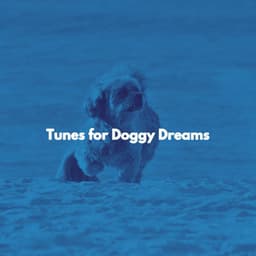 Tunes for Doggy Dreams - Chillout Jazz