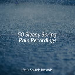 50 Sleepy Spring Rain Recordings - Relaxing Music