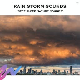 Rain Storm Sounds - Serene Rose