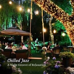 Chilled Jazz: A Night Groove of Relaxation - Soft Jazz Music