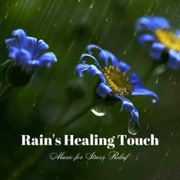 Rain's Healing Touch: Music for Stress Relief - Aurise
