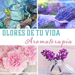 Olores de Tu Vida – Aromaterapia, Música Curativa, Meditación para una Vida Mejor, Relajarse & Vivir en Armonía, Tu Guía en Aromas - Academia de Música para SPA