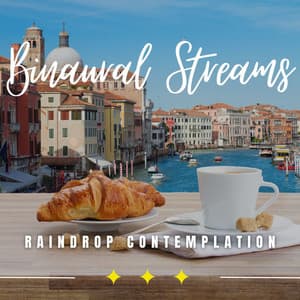 Raindrop Reprieve: Binaural Relaxation Harmony - The Rain Factory