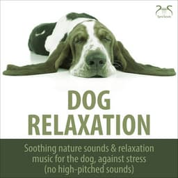 Dog Relaxation - Soothing Nature Sounds & Relaxation Music for the Dog, Against Stress - Torsten Abrolat