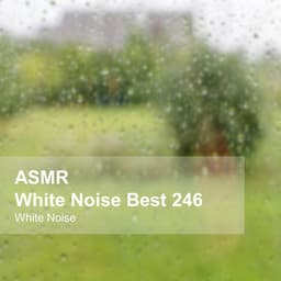White Noise ASMR Best 246 - White Noise