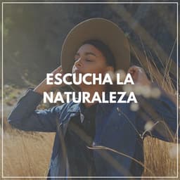 Escucha la Naturaleza - Sonidos de la Naturaleza para Dormir