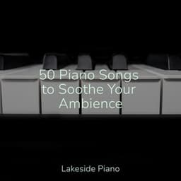 50 Piano Songs to Soothe Your Ambience - SD