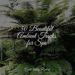 50 Beautiful Ambient Tracks for Spa - Sounds Of Nature: Thunderstorm