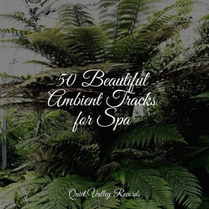 50 Beautiful Ambient Tracks for Spa - Sounds Of Nature: Thunderstorm