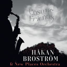 Cosmic Friends - Håkan Broström