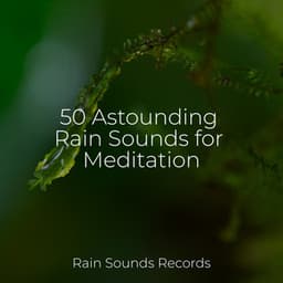 50 Astounding Rain Sounds for Meditation - Spa