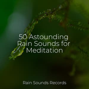 50 Astounding Rain Sounds for Meditation - Spa