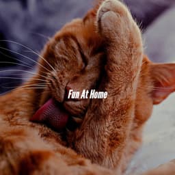 Fun At Home - Coffeeshop Smooth Jazz Playlist Classics