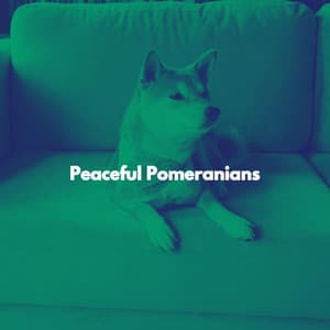 Peaceful Pomeranians - Jazz Animada para Cafeterías