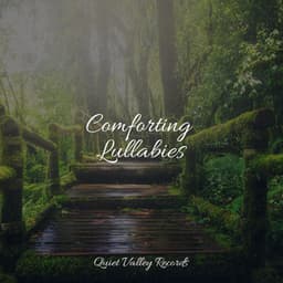 Comforting Lullabies - Natural Sample Makers
