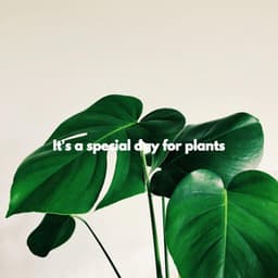 It's a special day for plants - Coffee Shop Jazz Relax