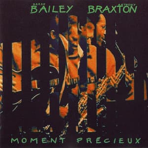 Moment Precieux - Derek Bailey