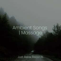 Ambient Songs | Massage - Meditación Guiada