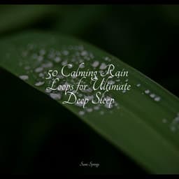 50 Calming Rain Loops for Ultimate Deep Sleep - Regen