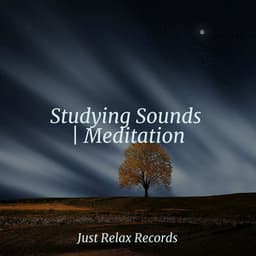 Studying Sounds | Meditation - Música para Relajarse Profundamente