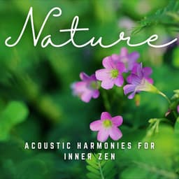 Soothing Meditations: Acoustic Harmonies for Inner Zen - Meditation King