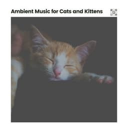 Ambient Music for Cats and Kittens - Ambient Music Therapy