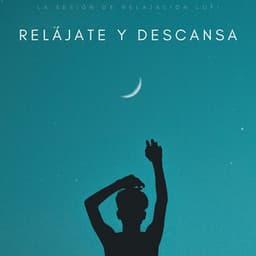 Relájate Y Descansa: La Sesión De Relajación Lofi - Nación Lofi