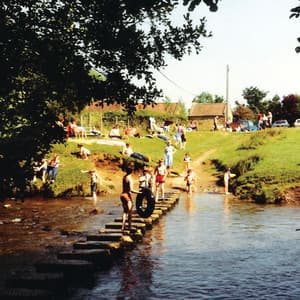 Stepping Stones - Twit One