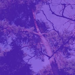 Music for Binaural Sleep - Relaxing Sleep Music