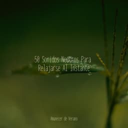 50 Sonidos Neutros Para Relajarse Al Instante - Meditar Profundamente