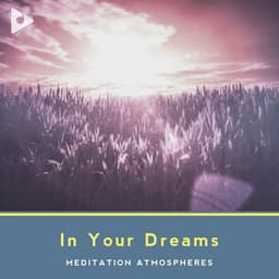 In Your Dreams - Sleep Meditation Dream Catcher