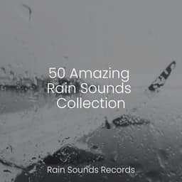 50 Amazing Rain Sounds Collection - Relajación