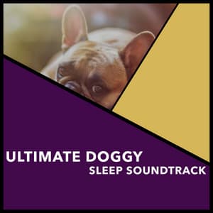 Ultimate Doggy Sleep Soundtrack - Dogs Music Therapy