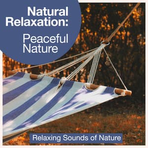 Natural Relaxation: Peaceful Nature - Relaxing Sounds Of Nature